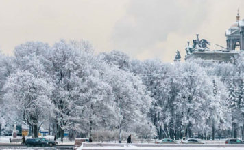 Karlar Kraliçesi St. Petersburg