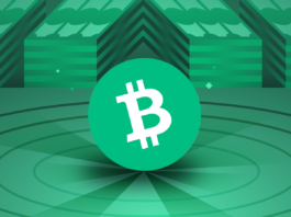 Bitcoin Cash (BCH) Nedir