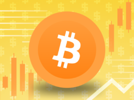 Bitcoin'in Fiyat Geçmişinin Bir Özeti