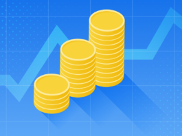 IDO (İlk DEX Arzı) Nedir