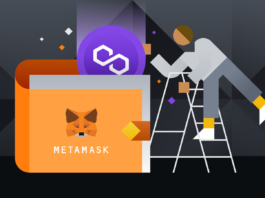 MetaMask'e Polygon Nasıl Eklenir