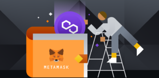 MetaMask'e Polygon Nasıl Eklenir