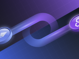 Polygon Bridge Nasıl Kullanılır